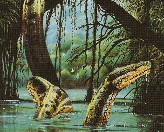 River Boa