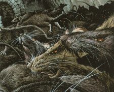 Sewer Rats