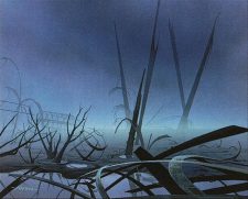 Swamp