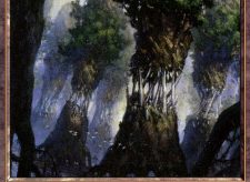 Evolving Wilds