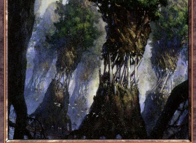 Evolving Wilds