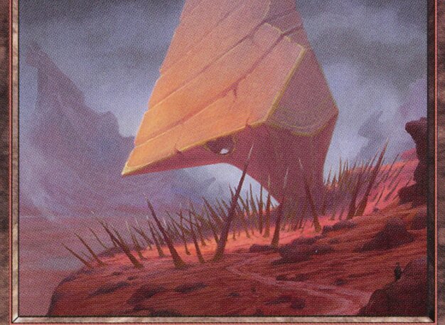 Mountain