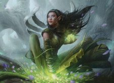 Rootpath Purifier