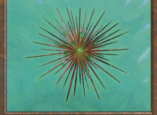 Wayfarer’s Bauble