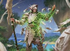 Blanchwood Armor