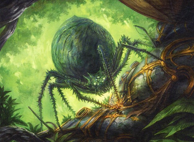 Hoarding Recluse