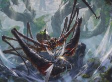 Skyfisher Spider