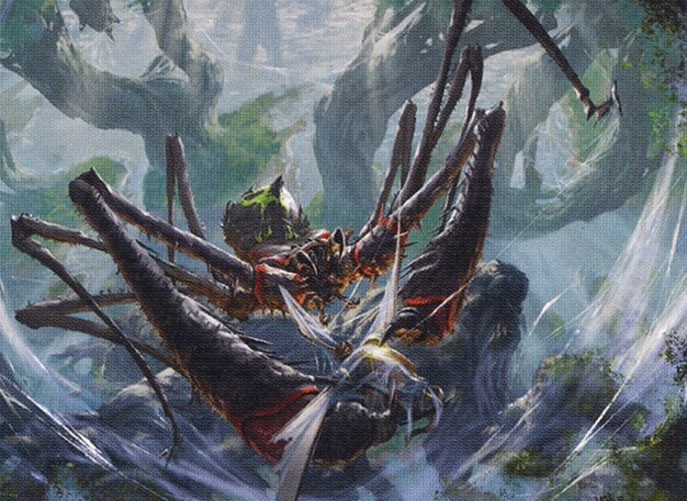 Skyfisher Spider