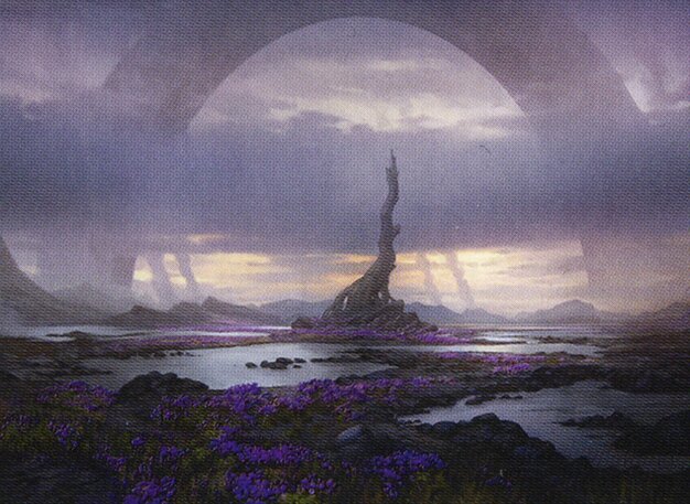 Swamp