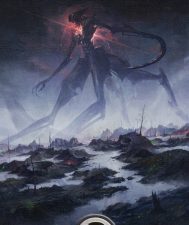 Swamp