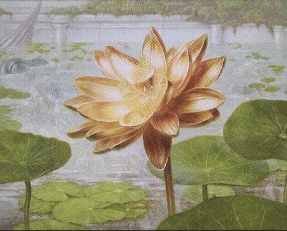 Gilded Lotus