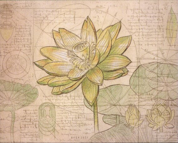 Gilded Lotus