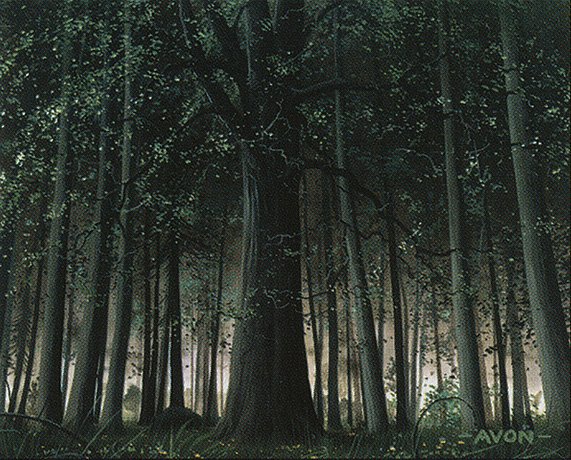 Forest