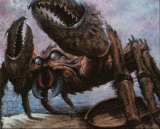Giant Crab