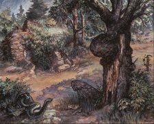 Havenwood Battleground