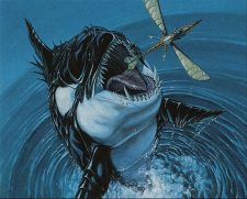 Killer Whale