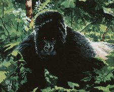Kird Ape