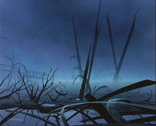 Swamp