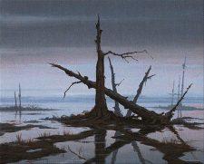 Swamp