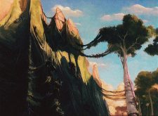 Contested Cliffs