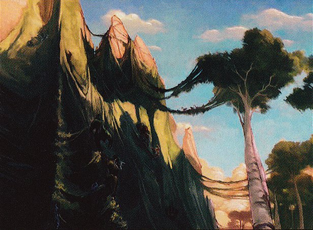 Contested Cliffs