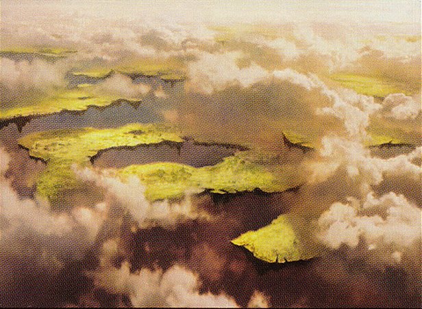 Drifting Meadow