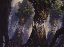 Evolving Wilds