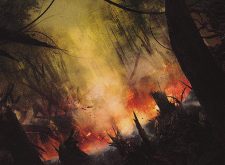 Fissure Vent