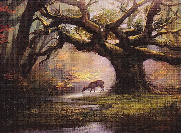 Forest