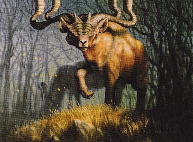 Grazing Gladehart
