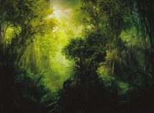 Llanowar Reborn