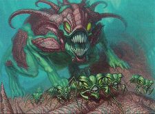 One Dozen Eyes