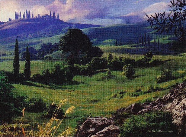 Plains