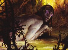 Quagmire Druid