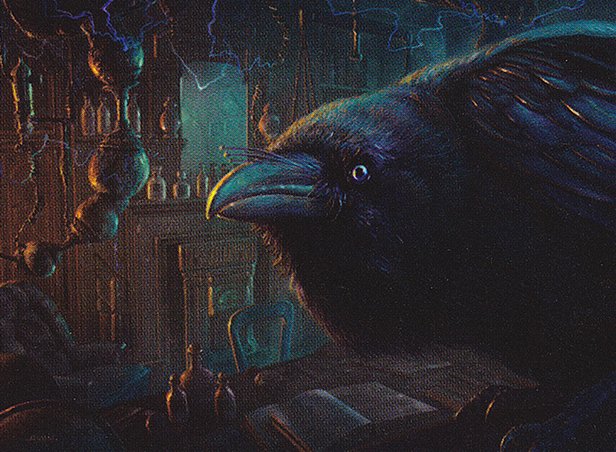 Raven Familiar