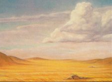 Secluded Steppe