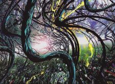 Sprouting Vines