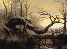 Swamp
