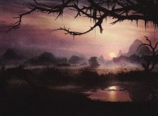 Swamp