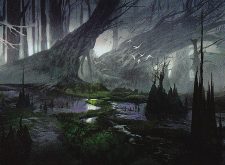 Swamp