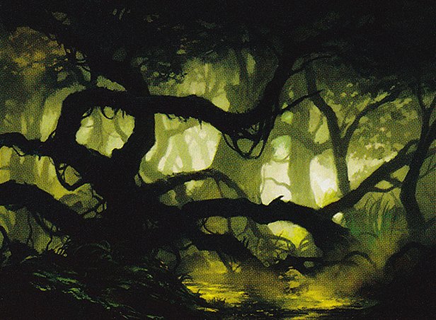 Swamp