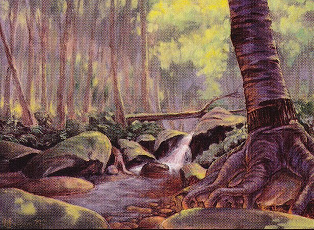 Tranquil Thicket