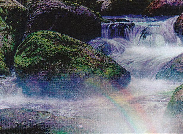 Vivid Creek