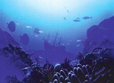 Coral Atoll