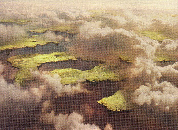 Drifting Meadow