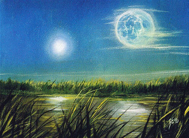 Everglades