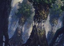 Evolving Wilds