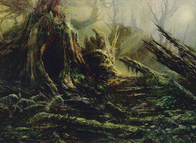 Forest