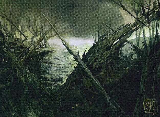 Forest