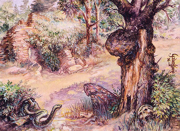 Havenwood Battleground